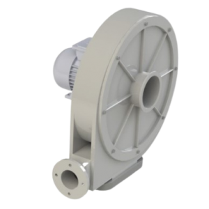 tt10a-removebg-preview