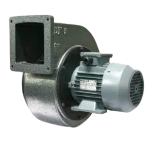 tt6a-removebg-preview