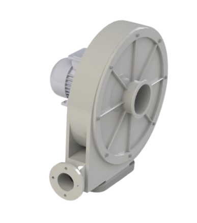 tt10a-removebg-preview