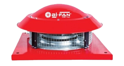 tt11a-removebg-preview