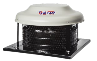 tt13a-removebg-preview