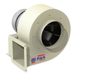 tt5b-removebg-preview