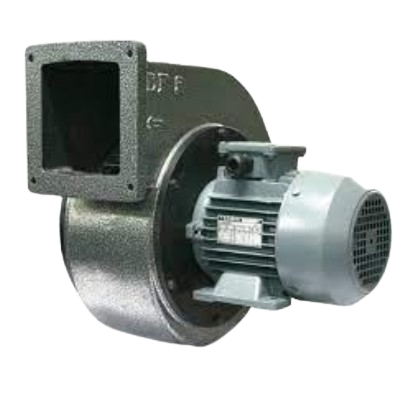 tt6a-removebg-preview